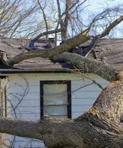 Why Should I Hire an Attorney for my Property Damage Claim?